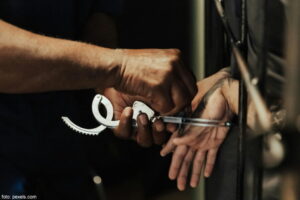 Uhapšen Hrvat (29) osumnjičen za vođenje online pedofilske grupe sa 250 članova