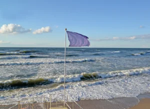 Vidite ove zastavice na plaži? Evo zašto nikako ne smete da ih ignorišete!