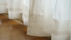 Kako na prirodan način izbeliti zavese kod kuće