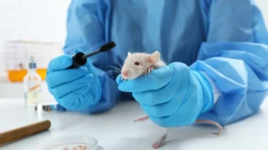 Analize otkrivaju rast lažnih i falsifikovanih naučnih radova