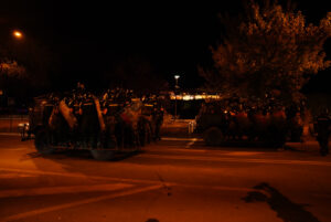 Akademski plenum osudio napad policije na studenta u Novom Sadu, traži izbore i sudske postupke