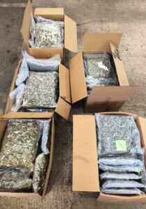 Zaplena droge na Šidu: U kamionu pronađeno više od 43 kilograma marihuane, uhapšen vozač