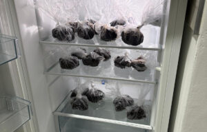 Uhapšena dvojica Novosađana zbog skoro četiri kilograma marihuane i kolača sa kanabisom