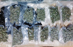 Uhapšen muškarac u Beogradu: Zaplenjeno više od dva kilograma marihuane