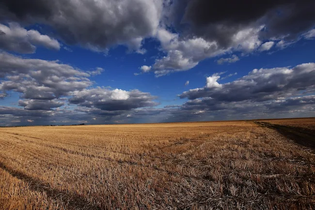 Foto: Beta/Dragan Gojić
