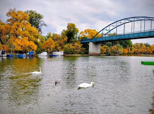 Foto: Beta/ Nemanja Kicošev