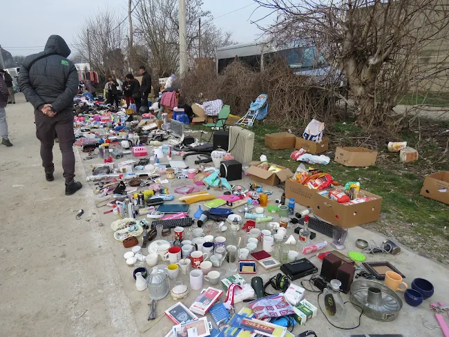 Foto: Beta/Milan Timotić