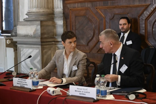 Foto: Ana Brnabić i Nenad Vujić na plenarnoj sednici Venecijanske komisije (BetaPhoto/Skupština Srbije/Peđa Vučković)