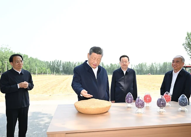 Foto: Xinhua/Yan Yan