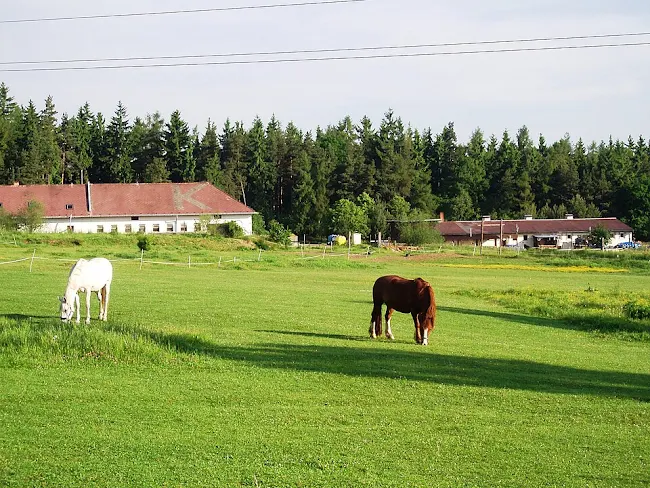 Foto: Wikimedia/Wakowlk
