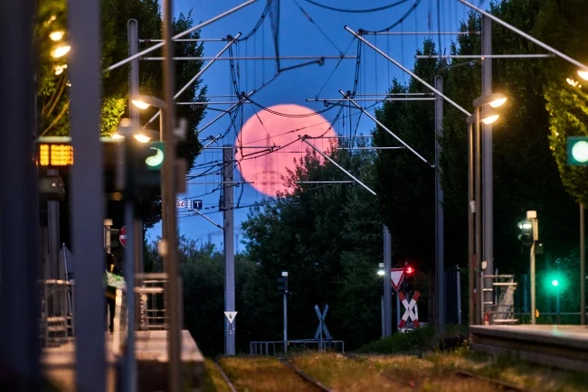 Foto: AP Photo/Michael Probst