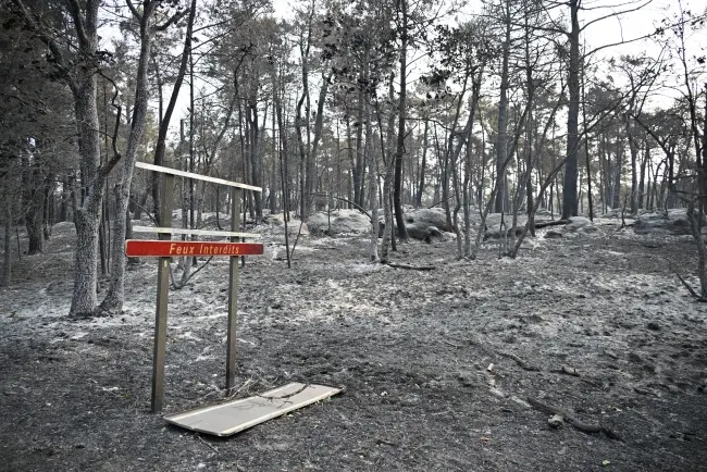 Foto: AP Photo/Emma Da Silva