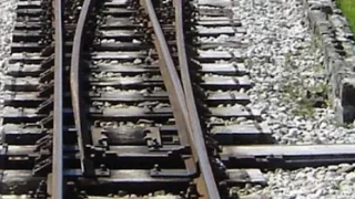 Foto: prt.scr infrazs.rs
