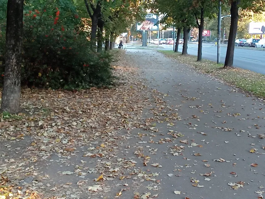 Foto: Beta.rs